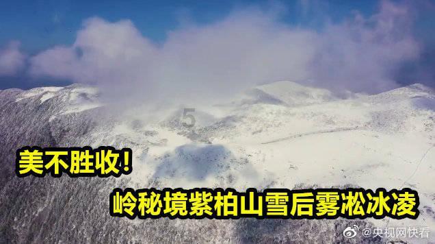 有问必答平台-歌词是红雁飞过千古美名扬来自哪首歌?专业解答